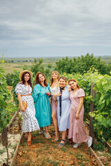 Fototapeta premium Five young smiling women in elegant dresses and straw hat are hugging and posing at the camera on the vineyard.