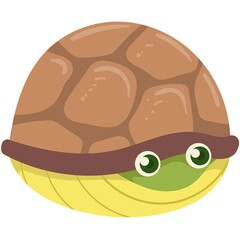 Cute Cartoon Turtle Shelled Up