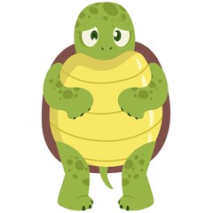 Sad Turtle Cartoon Illustration
