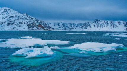 Drift floating Ice and Snowcapped Mountains, Albert I Land, Arctic, Spitsbergen, Svalbard, Norway,...