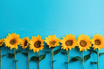 Obraz premium Frame made of blooming sunflowers with green leaves on blue background with copy space. Harvest, agriculture, farming concept. Beautiful floral greeting card, banner, poster. Flat lay, top view