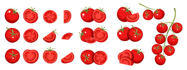 Set of tomatoes. Whole tomatoes, halves, slices, cherry tomatoes on a branch. Vector illustration.