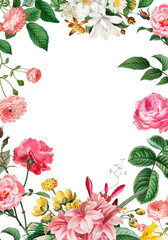 Botanical frame design transparent png