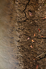 Textures On The Cracked Ground