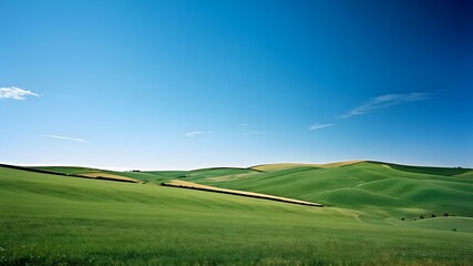 Obraz premium landscape with green grass and sky