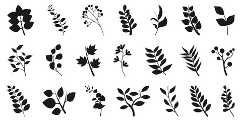  botanical plants flower silhouette 