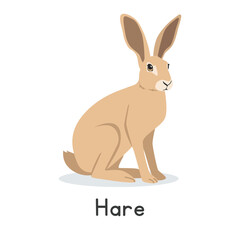 Hare vector illustration. Cute hare cartoon clipart, animal in flat style. Farm animals concept, rural farming. Livestock animal or wild hare vector design isolated on white background