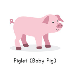 Piglet (baby pig) vector illustration. Cute pink piglet cartoon clipart, animal in flat style. Farm animals concept, rural farming. Livestock animal baby pig vector design isolated on white background