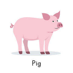 Pig vector illustration. Cute pink pig cartoon clipart, animal in flat style. Farm animals concept, rural farming. Livestock animal pig vector design isolated on white background
