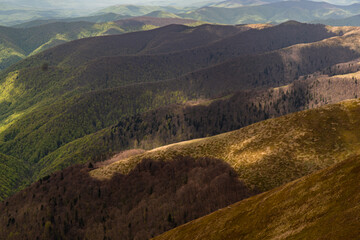 A Sunlit Valley lush green trees and bathed in the golden light of the setting sun. Borzhava range. Carpathian mountains, Ukraine