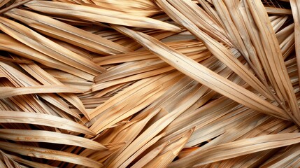 Texture background of dried coconut palm leaves, perfect for adding a touch of natural elegance to your design