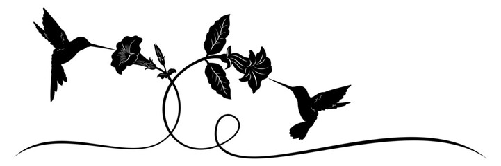 hummingbird and flower vector © Is
