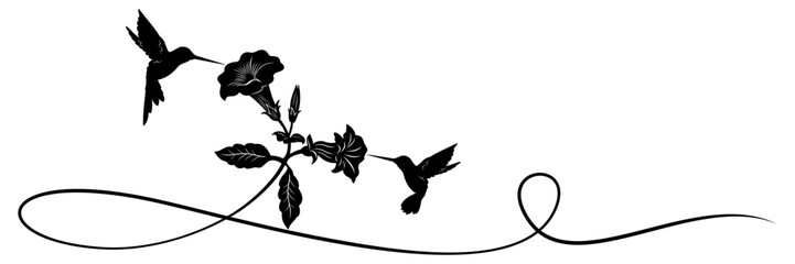 hummingbird and flower vector