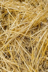 Close-up of dry straw with intricate golden textures