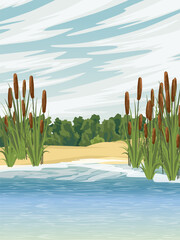 Lake shore with reeds. Sandy shore of the pond. Green dense forest on the horizon. countryside. Vector realistic vertical landscape © AnnstasAg