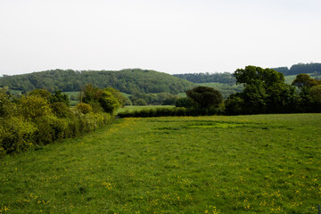 Devon countryside with green hills, fields and and hedges