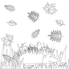 Cute hedgehog in a field with autumn leaves for coloring. Perfect for kids creative activities and fall-themed projects.