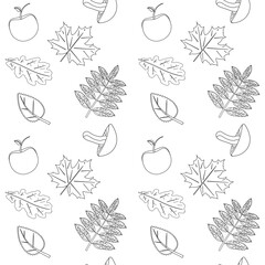 Fototapeta premium Detailed pattern of autumn leaves, apples, and mushrooms for coloring. Ideal for fall-themed creative activities for kids and adults.