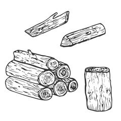 Wooden logs and twigs sketch on white background. Vector illustration of timber and wood stump. Firewood hand drawing line sketch