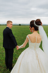 A bride and groom are standing in a field, holding hands. The bride is wearing a white dress and a veil, while the groom is wearing a suit. The scene is peaceful and romantic