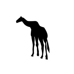 Silhouettes of animals in zoo collection on white background. Vector illustration.