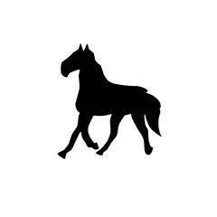 Silhouettes of animals in zoo collection on white background. Vector illustration.