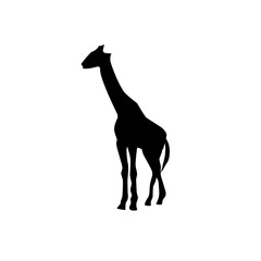 Silhouettes of animals in zoo collection on white background. Vector illustration.
