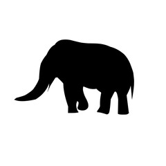 Silhouettes of animals in zoo collection on white background. Vector illustration.