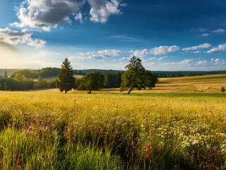Obraz premium field with green farms and blue sky