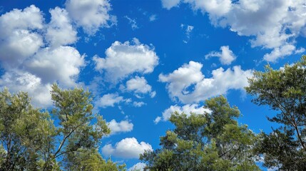 Blue sky with white clouds and treetops in the landscape