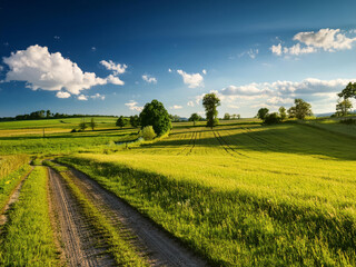 Fototapeta premium field with green farms and blue sky