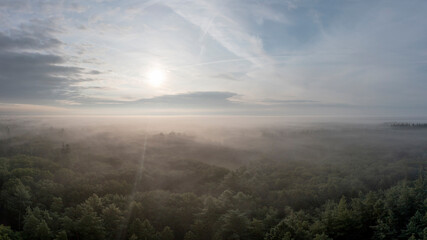 A scenic aerial view of a mist-covered forest at sunrise, depicting nature's serenity and tranquility.