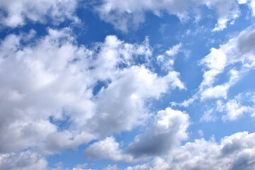 Fototapeta premium 青空に浮かぶ白い雲