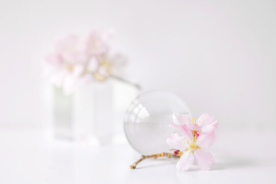 A single delicate sprig of apple blossom shot against white background on glass block, soft focus, soft image, pastel colours