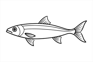 Anchovy line art vector