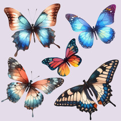 set with a variety of bright butterflies in a watercolor style