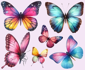 set with a variety of bright butterflies in a watercolor style