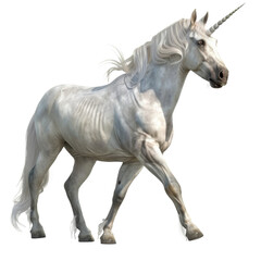 Obraz premium Majestic White Unicorn