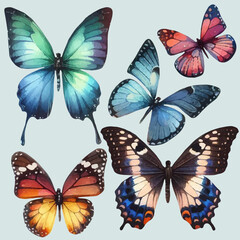 set with a variety of bright butterflies in a watercolor style