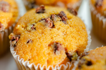 A close up of a muffin with chocolate chips on top