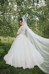 Fototapeta premium A bride is standing in a field with a white veil and a long train