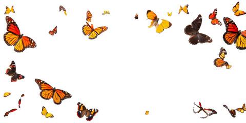 A butterfly is flying in the air with many other butterflies © AnnAza