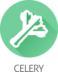 Celery vegetable food stylised icon concept. Possibly an icon for the allergen or allergy.