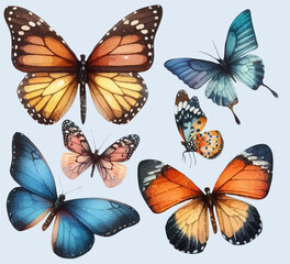 set with a variety of bright butterflies in a watercolor style