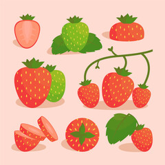 set of red strawberries in vector illustration