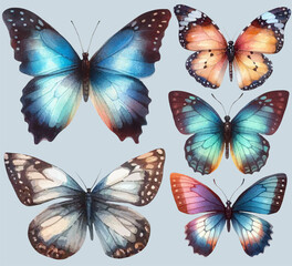 set with a variety of bright butterflies in a watercolor style