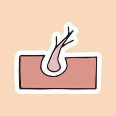 hair. the hair bulb. the scalp. hair loss. recovery. vector. doodle. icons. drawing. the method of protection.