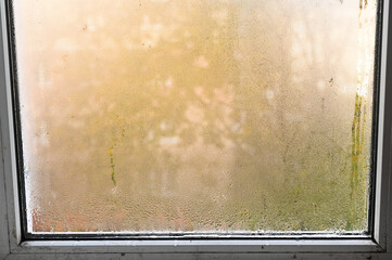 mold on the window due to high humidity.