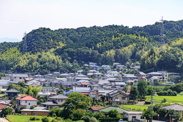 Scenic View of Japanese Village Surrounded by Lush Greenery