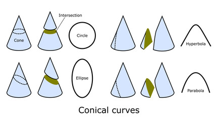 Conical curves, vector illustration isolated on white